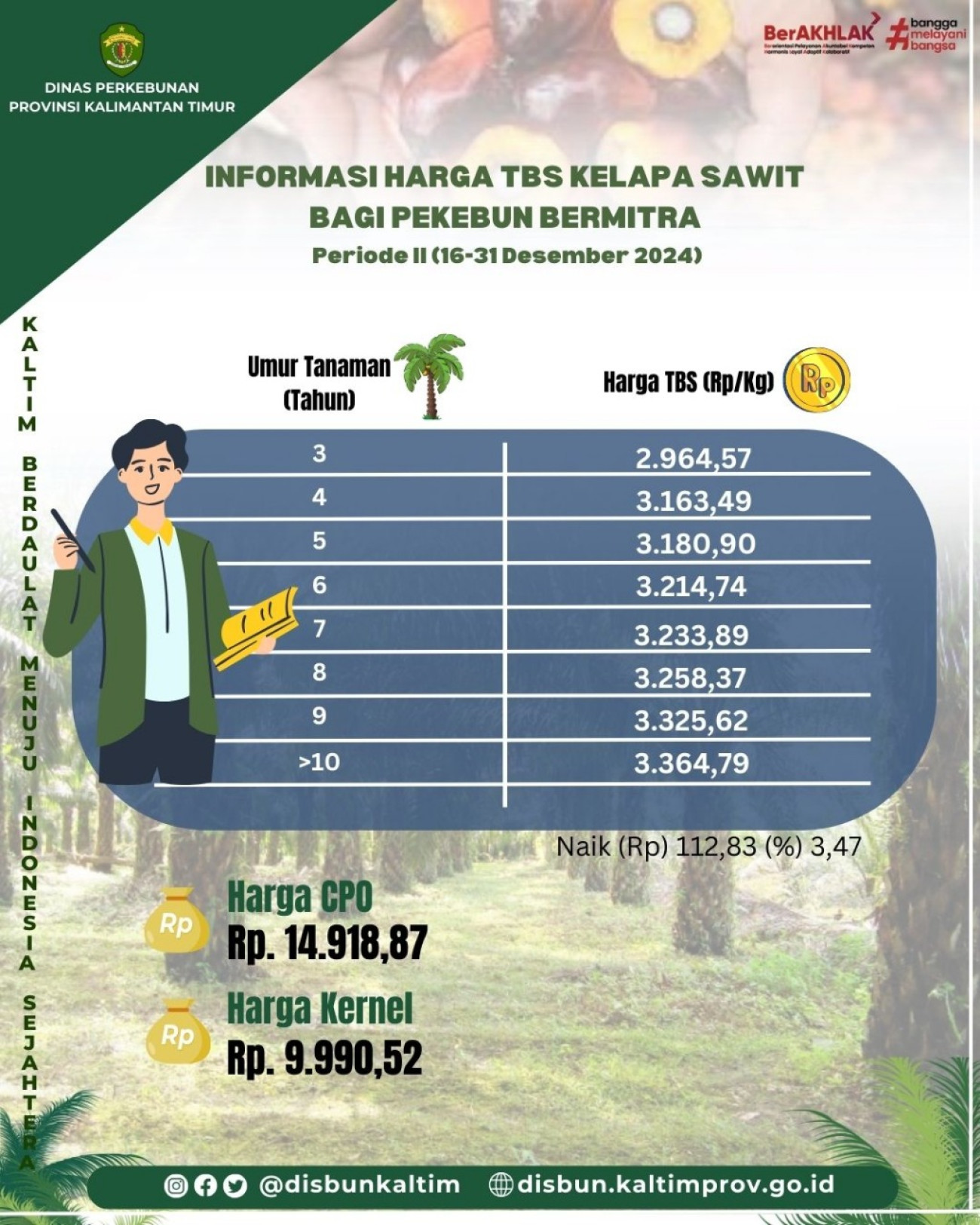 Informasi Harga TBS Kelapa Sawit bagi Pekebun Mitra Periode II Bulan Desember 2024