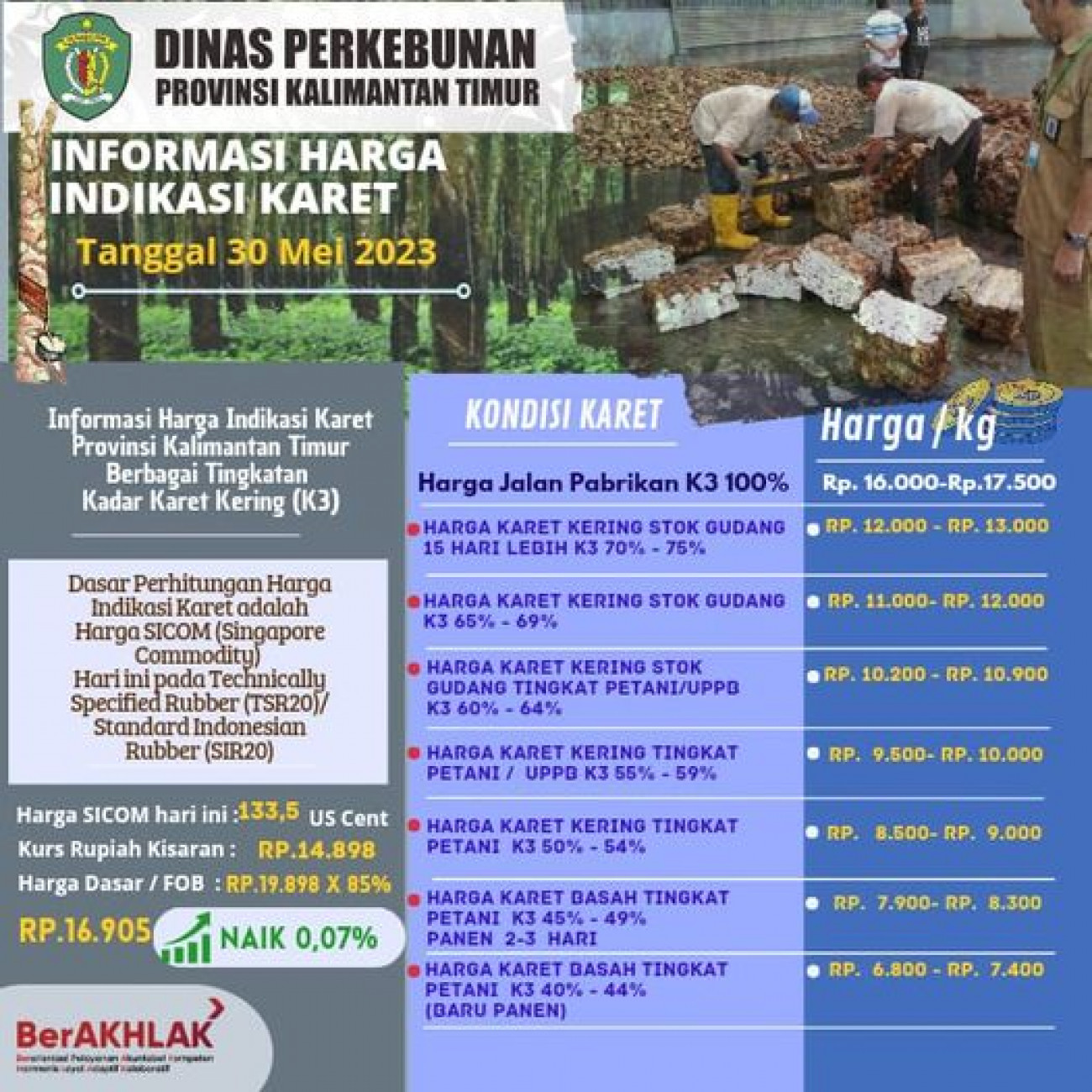 Informasi Harga Indikasi Karet Per 30 Mei 2023