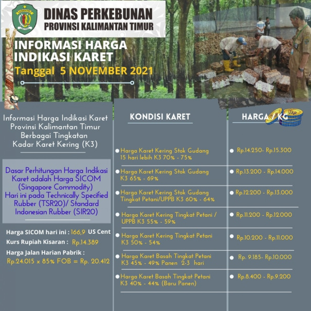 Informasi Harga Indikasi Karet Per 5 November 2021