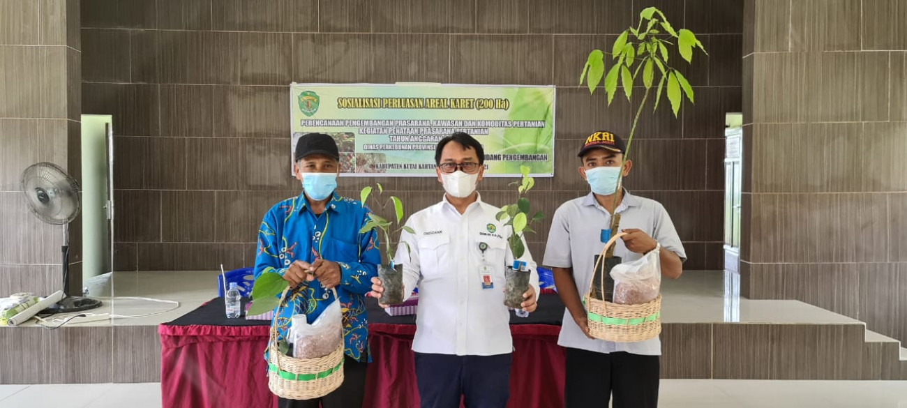 Sosialisasi Perluasan Areal Perkebunan 200 Ha