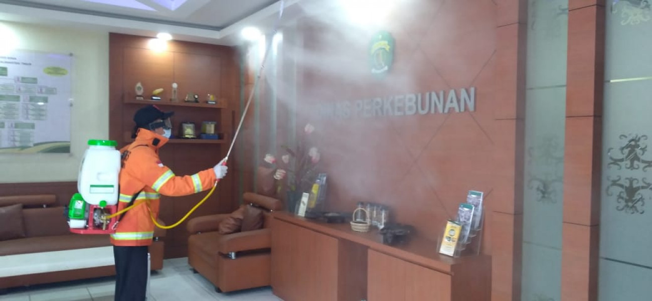 Disbun Lakukan Penyemprotan Cairan Disinfektan