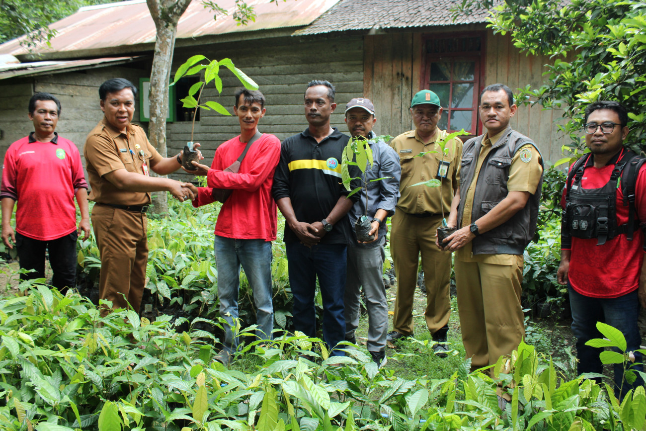 LaksanakanPerluasan Kakao Kaltim, Langkah Nyata Disbun Dukung Petani Lokal