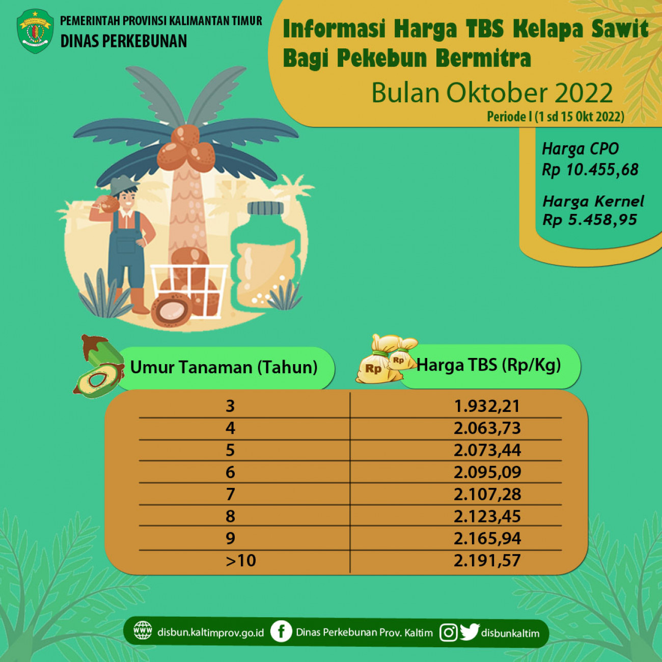 Informasi Harga TBS Kelapa Sawit Bagi Pekebun Bermitra Periode 1 - 15 Oktober 2022