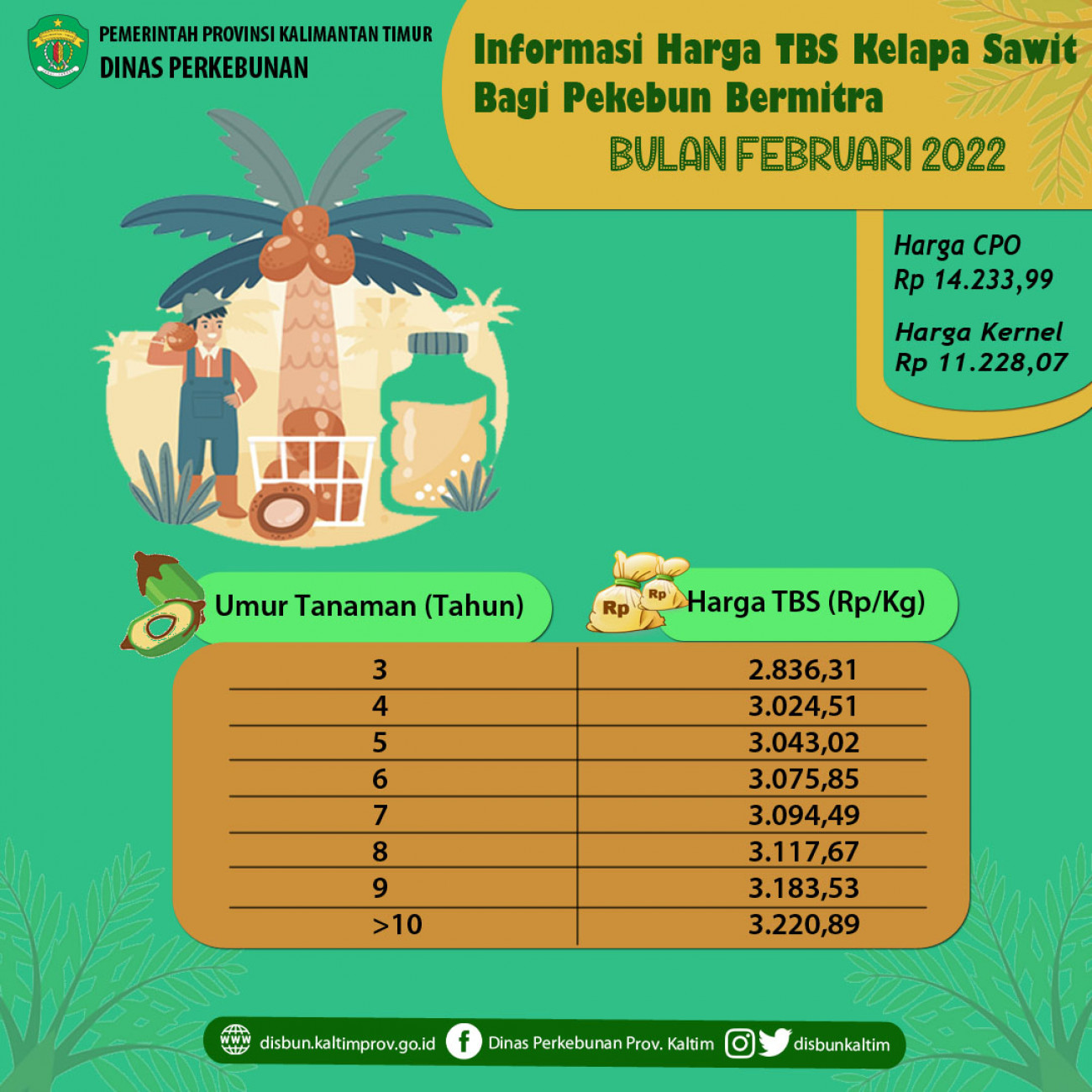 Informasi Harga TBS Kelapa Sawit Bagi Pekebun Bermitra Bulan Februari 2022