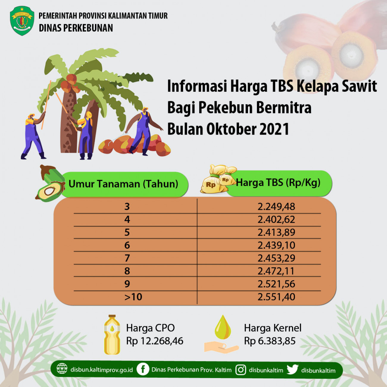 Informasi Harga TBS Kelapa Sawit Bagi Pekebun Bermitra Bulan Oktober 2021