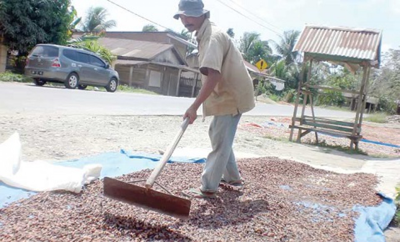 Sektor Perkebunan Bisa Jadi Alternatif PAD