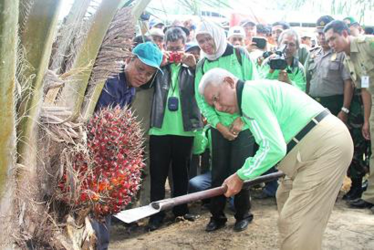 Kaltim Berpeluang Dapat Bagi Hasil Pajak CPO