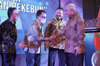 Gubernur : Peremajaan Sawit Rakyat Strategis Untuk Peningkatan Produktivitas Sawit