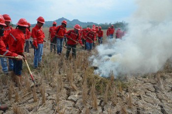 Kaltim Akan Kembangkan Kebijakan Mengatasi Kebakaran Hutan dan Lahan