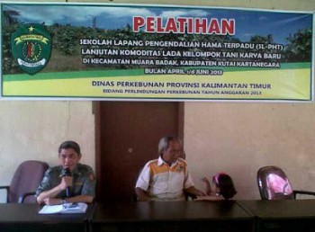 Sekolah Lapang Petani Lada di Muara Badak