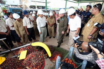 Disbun Kutim Terima 20 Pengaduan Konflik