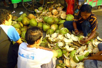 Bulan Ramadan, Permintaan Kelapa Meningkat