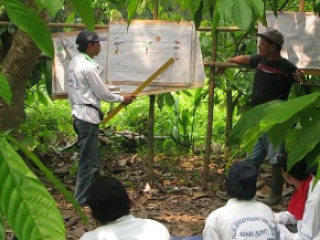 Program SLPHT Diikuti 175 Petani