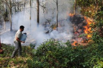 Buka Kebun Dengan Cara Membakar, Terancam 10 Tahun Penjara